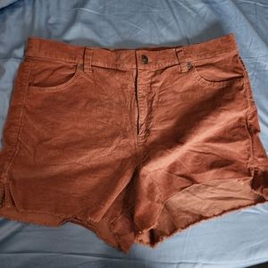 Aerie Rusty Orange Corduroy Shorts